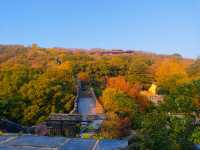 常熟虞山古城牆|漫步城牆邂逅絕美日落!私藏秋日神仙機位