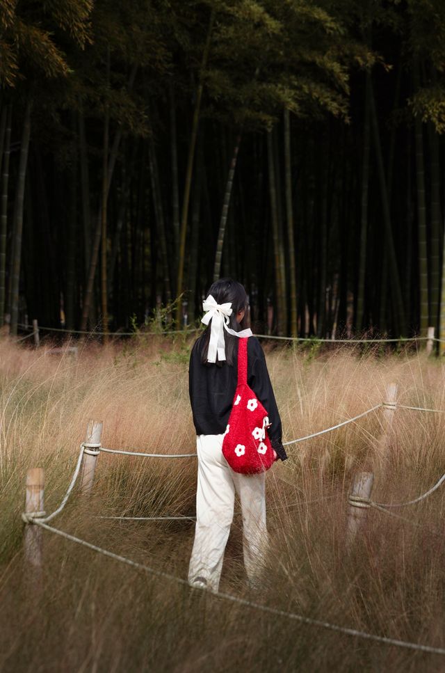 金色的粉黛是冬季的明信片 金色的粉黛是冬季的明信片