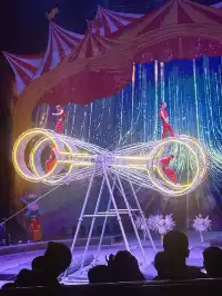 南昌周邊遊|遛娃天花板唯美動物世界