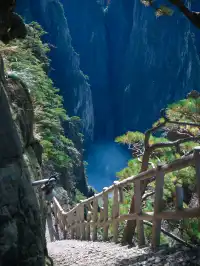 別再只知道迎客松了!這裡才是黃山的神!!