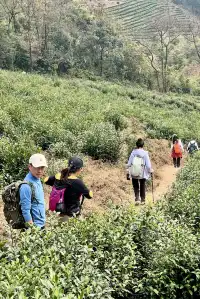 山野童行丨烏龍古道+八都岕一日暴走攻