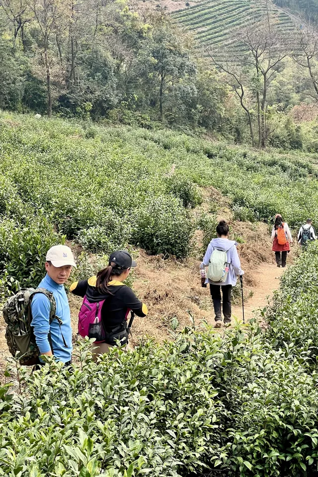 山野童行丨烏龍古道+八都岕一日暴走攻