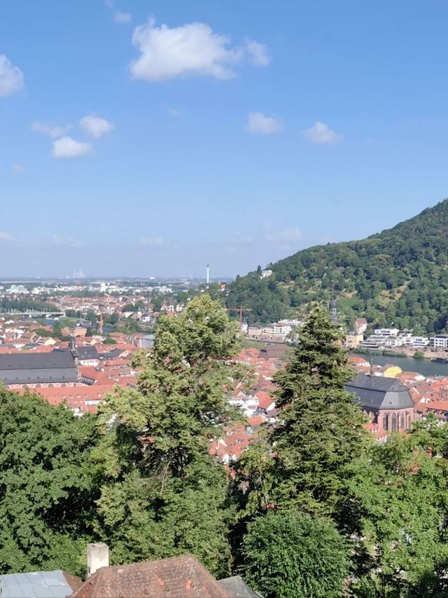 12天德法意瑞這篇攻略說透啦 12天德法意瑞這篇攻略說透啦