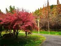 中國四大石窟之首——龍門石窟