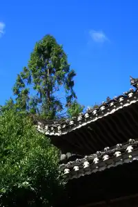 貴州|西江千戶苗寨