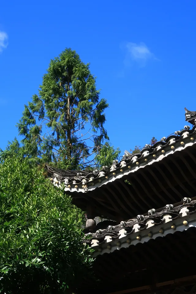 貴州|西江千戶苗寨 貴州|西江千戶苗寨