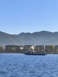 被瀘沽湖美鼠！12.4實拍！