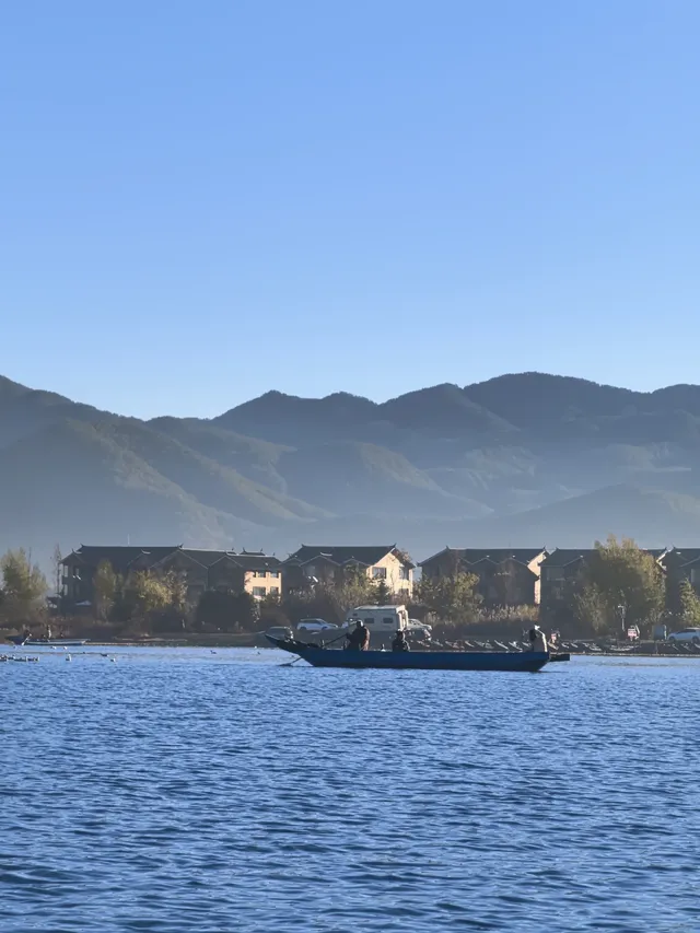 被瀘沽湖美鼠！12.4實拍！