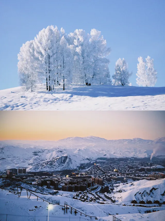 阿勒泰｜過一個被雪輕輕擁抱的冬天