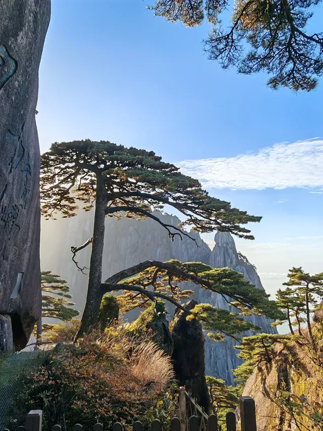 蕪湖黃山四日遊 蕪湖黃山四日遊