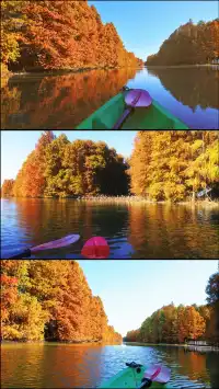 終於等來上海天花板水杉林的封神期附攻略