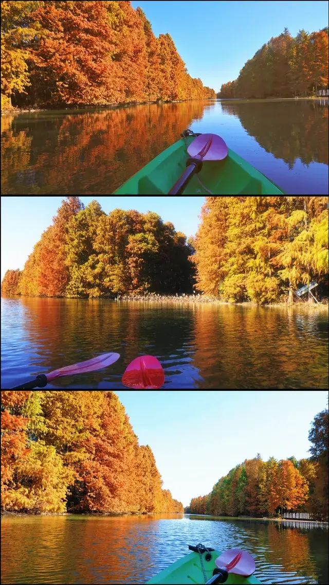 終於等來上海天花板水杉林的封神期附攻略 終於等來上海天花板水杉林的封神期附攻略