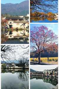 水墨宏村深度遊這份不走回頭路的懶人攻略必須碼住！