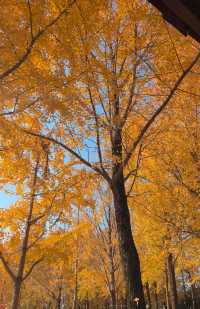 週末出逃|特種兵寧波兩日遊攻略