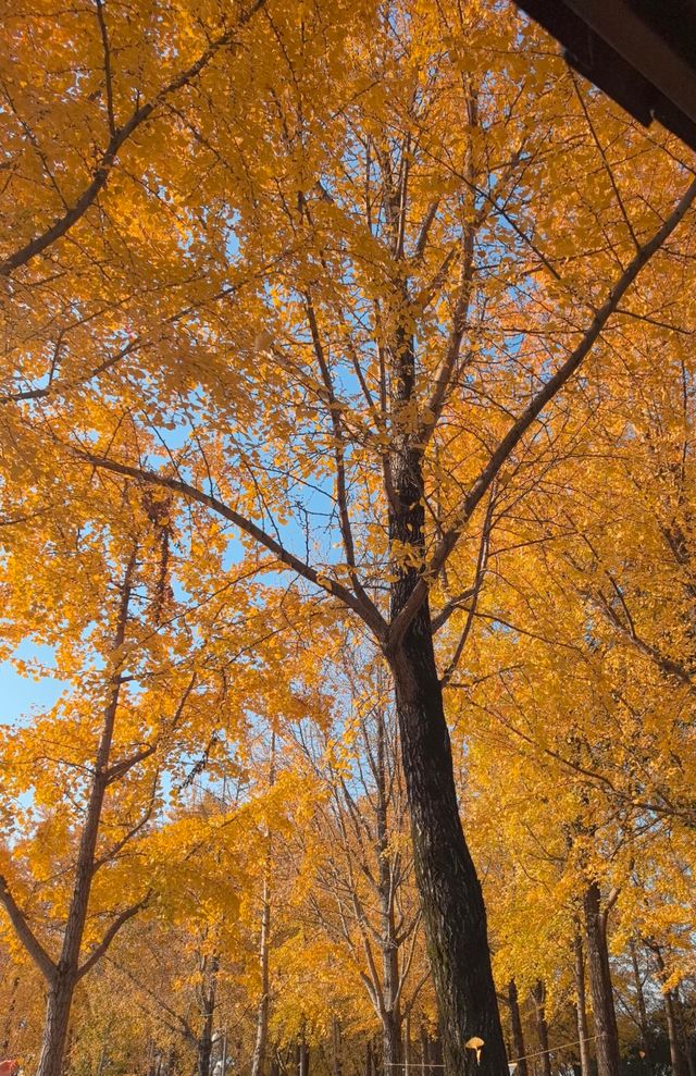 週末出逃|特種兵寧波兩日遊攻略 週末出逃|特種兵寧波兩日遊攻略