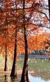 週末出逃|特種兵寧波兩日遊攻略