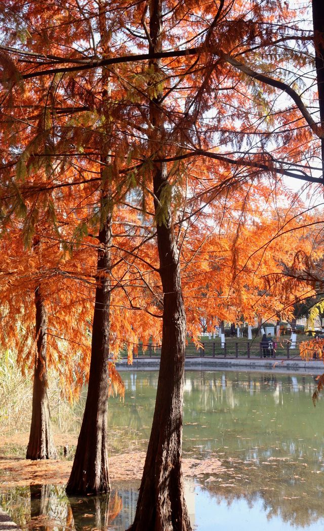 週末出逃|特種兵寧波兩日遊攻略 週末出逃|特種兵寧波兩日遊攻略