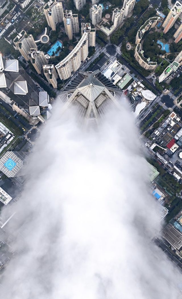 雲端覽深城 雲端覽深城