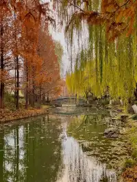 老舍：上帝把秋和冬全賜給了濟南