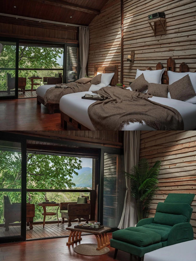 住進森林樹屋吸氧躺平治癒所有疲憊