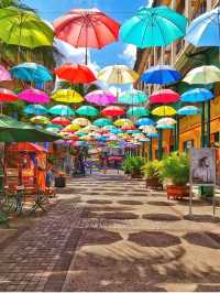 毛里裘斯9大必打卡點!來毛里裘斯必看~