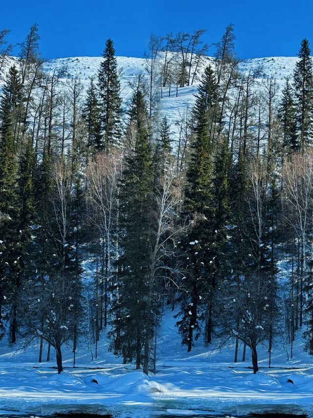 總要去一趟新疆吧! 總要去一趟新疆吧!