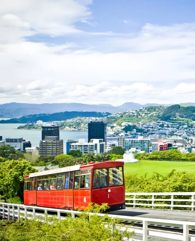 "Lonely Planet" Strongly Recommends! For Off-Season Travel in the Southern Hemisphere, This Is the Place to Go