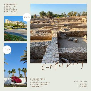 紅海の真珠、アカバ