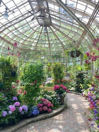 Desert Glass Greenhouse Check-in