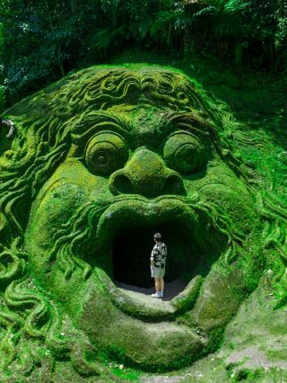 Kuta Departure Bali Ubud One-Day Cultural and Scenic Photo Guide