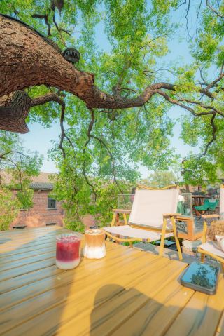 木陰の下のコーヒータイム、陽光とコーヒーの出会い。