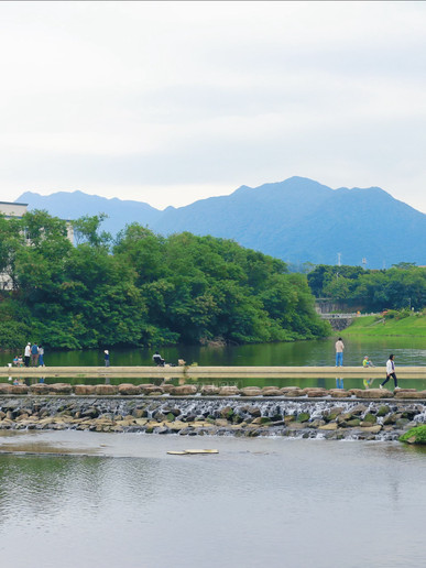 秘境の花畑で川の景色と出会う | Trip.com 深セン