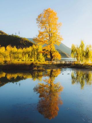A dreamy hotel by Lugu Lake—sit back and enjoy the view!