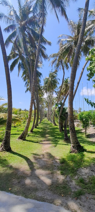 Exceptional Service Makes Sun Island Unforgettable