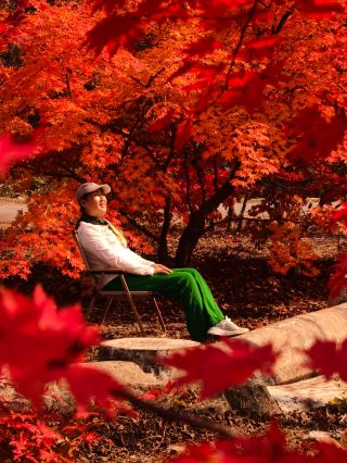 Benxi's secret autumn leaf hiking spot