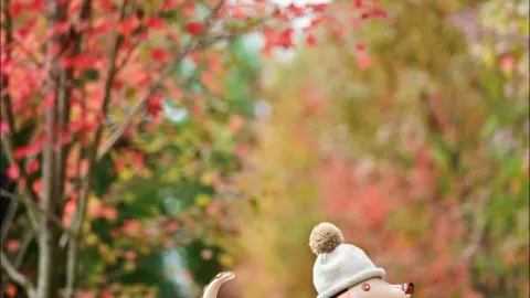 Must-visit autumn spot in Changsha | Red maples at Hunan Agricultural University, unlock an autumn fairytale for free — traveler post in Changsha