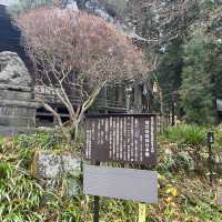 世界文化遺產 河口淺間神社