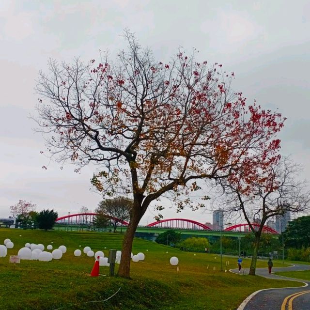 ［古亭站 景點］運動健身好去處 ~ 古亭河濱公園