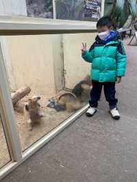 親子遊必去！ #伊豆仙人掌動物園