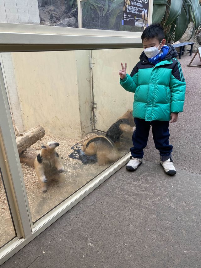 親子遊必去！ #伊豆仙人掌動物園