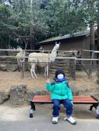 親子遊必去！ #伊豆仙人掌動物園