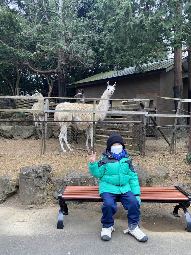 親子遊必去！ #伊豆仙人掌動物園