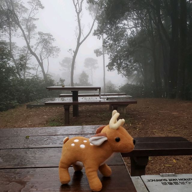 荃錦營地兩日一夜之旅😊