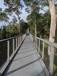The Habitat Penang Hill 🍃🌲