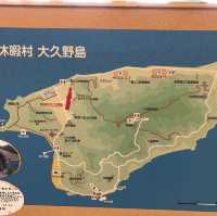 幸運的一天🐰大久野島