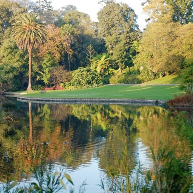 The Royal Botanic Gardens