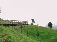 บ้านสวนดอยเปียงปุย  ดอยสกาด จ.น่าน