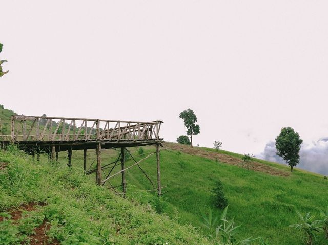 บ้านสวนดอยเปียงปุย  ดอยสกาด จ.น่าน