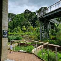 Nature Park Easily Accessible From Shopping Mall