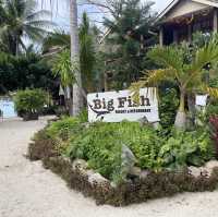 ที่พักดี ราคาเบาๆ บนเกาะเต่า 🐢